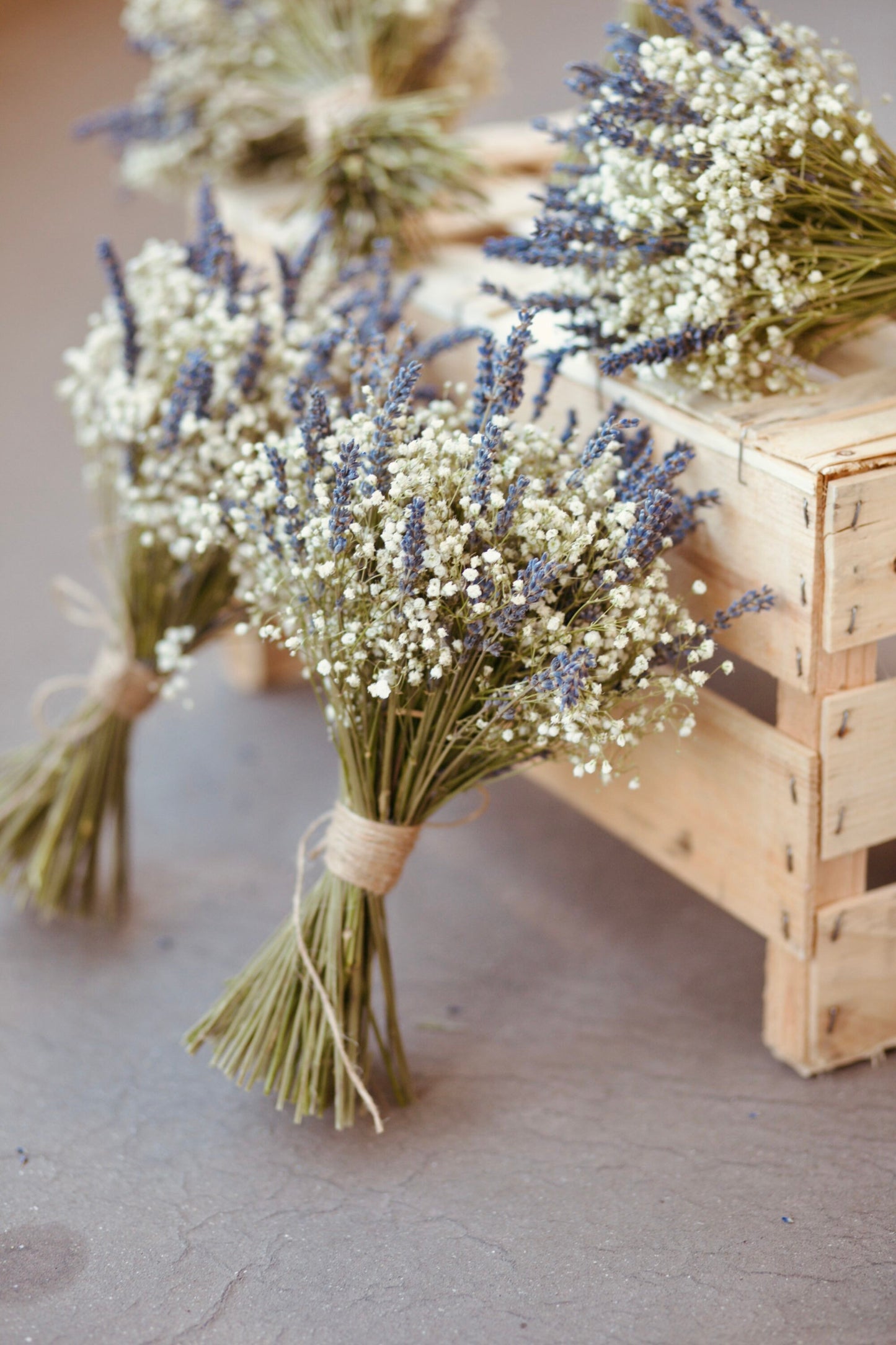 Dried Gypsophila and Lavender Bouquet