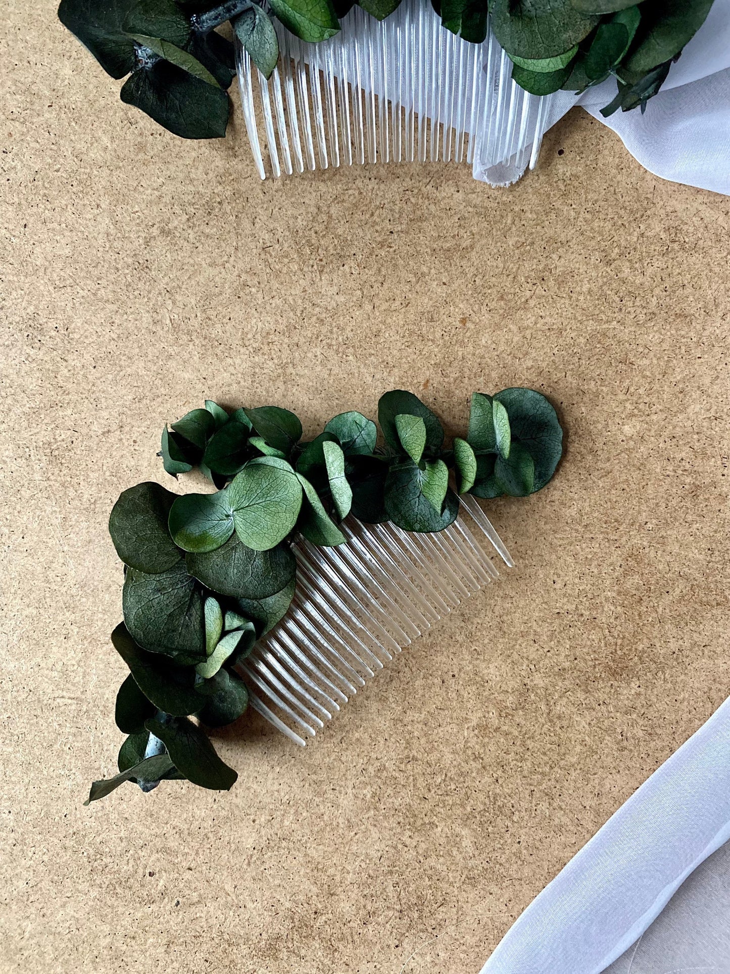 Preserved Eucalyptus Comb