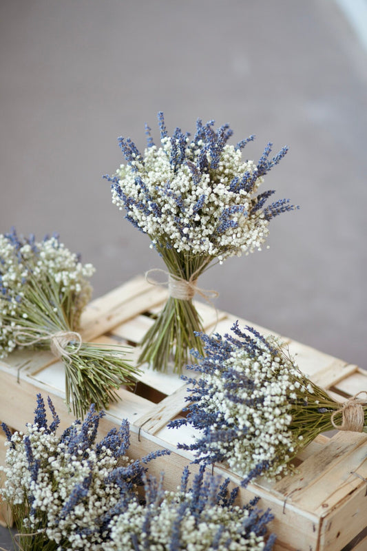 Dried Gypsophila and Lavender Boho Bouquet
