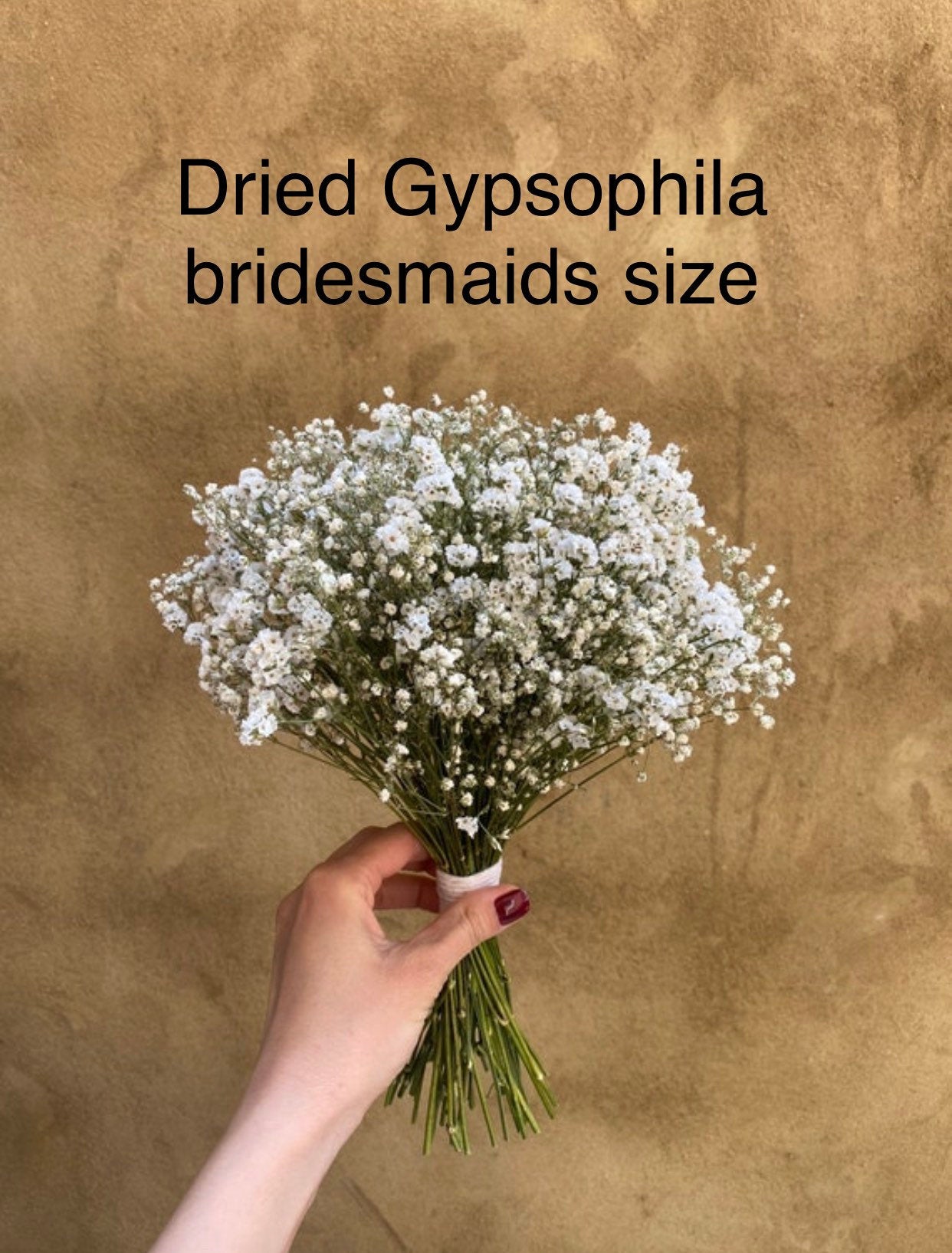 Dried Gypsophila Bouquet