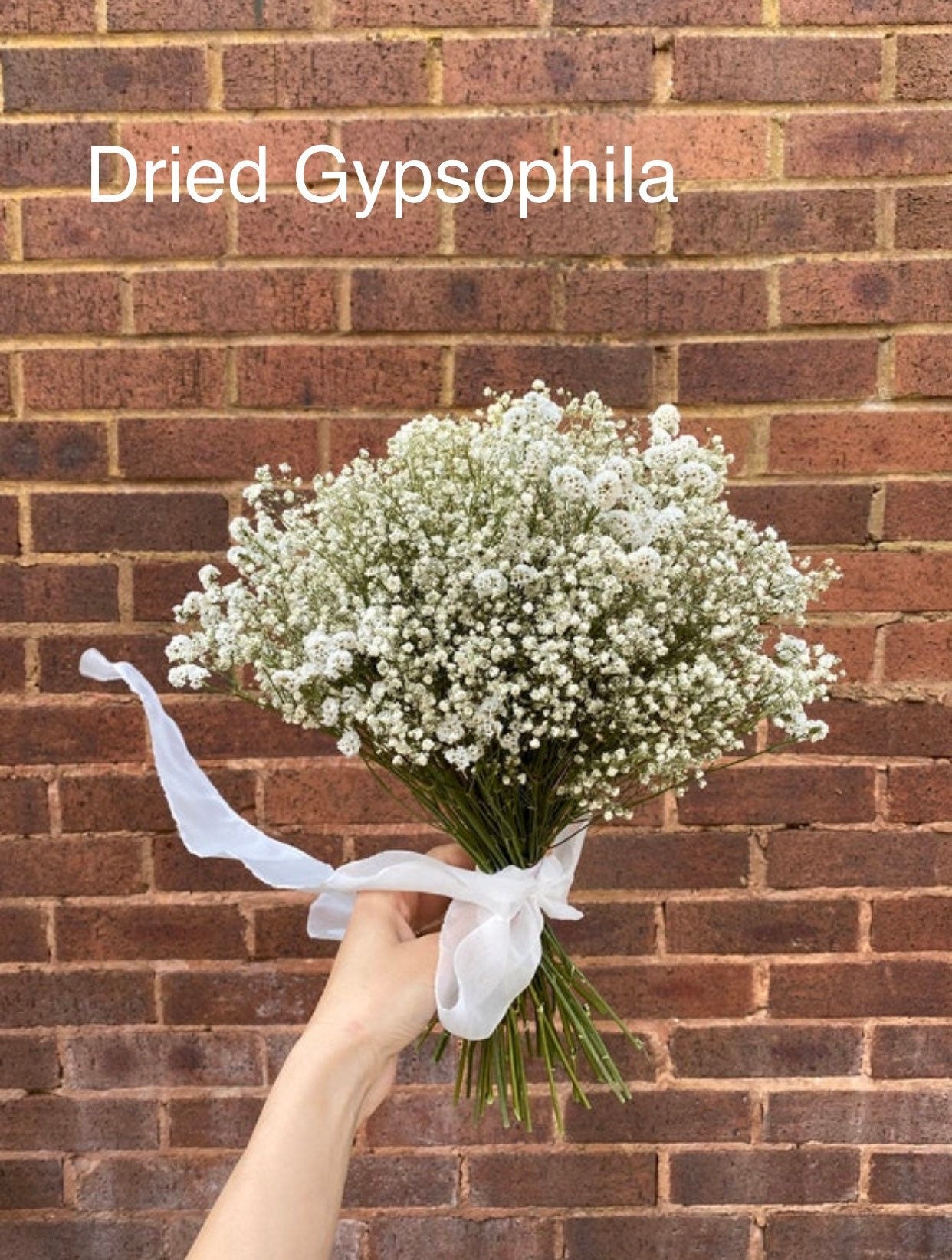 Dried Gypsophila Bouquet