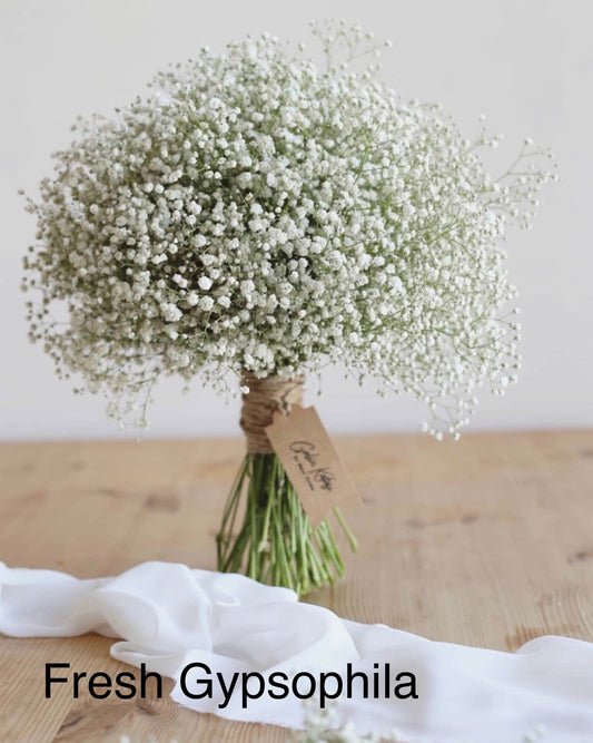 Dried Gypsophila Bouquet