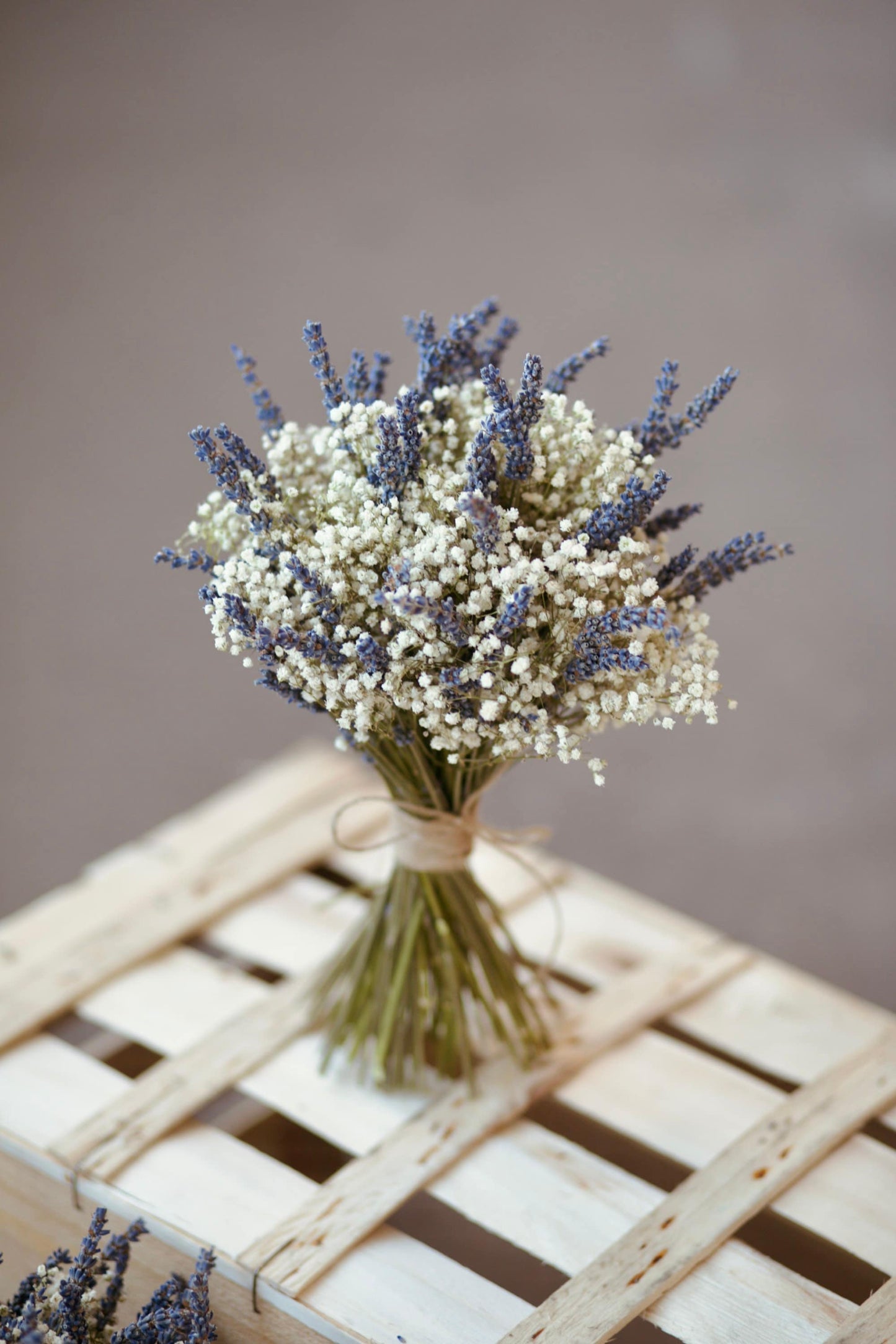 Dried Gypsophila and Lavender Bouquet